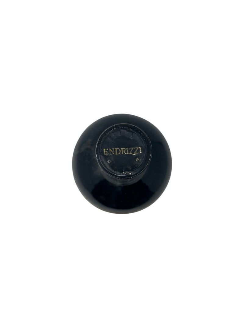 Gran Masetto - 2009 - Teroldego Endrizzi - Rarest Wines